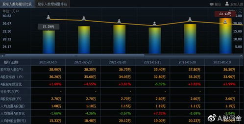 長安汽車（601633） 軟件驅(qū)動下的機遇與風險分析